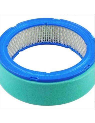 Filtre à air BRIGGS ET STRATTON 16 CV bicylindre VANGUARD - 394018 - 392642
