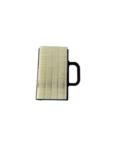 Filtre à air BRIGGS ET STRATTON 14-24 CV INTEK - 499486
