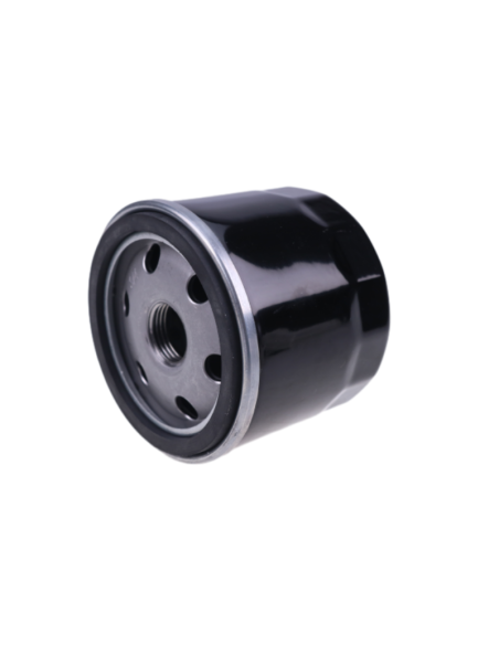 Filtre à huile KOHLER - 12-050-01