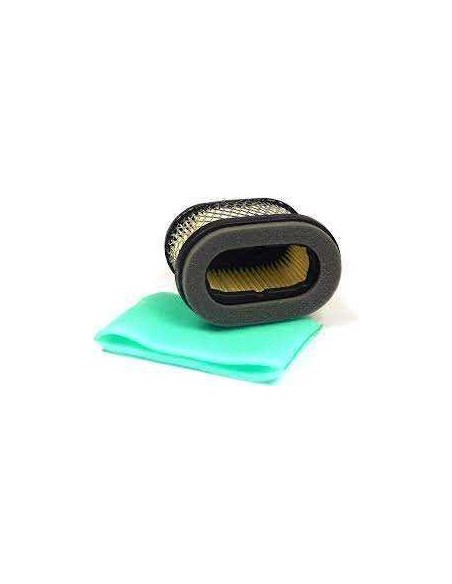 Filtre à air BRIGGS ET STRATTON - 690610 - 498596 - 697029