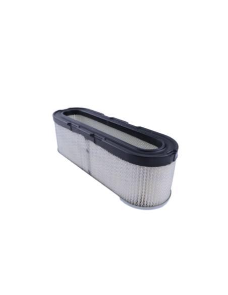 Filtre à air BRIGGS ET STRATTON 10 à 12 CV verticaux - fixation 2 trous - ancien modèle - 399806 - 491519