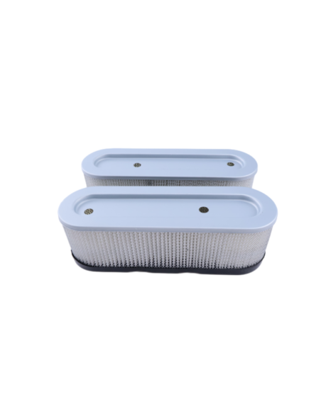 Filtre à air BRIGGS ET STRATTON 10 à 12 CV verticaux - fixation 2 trous - ancien modèle - 399806 - 491519