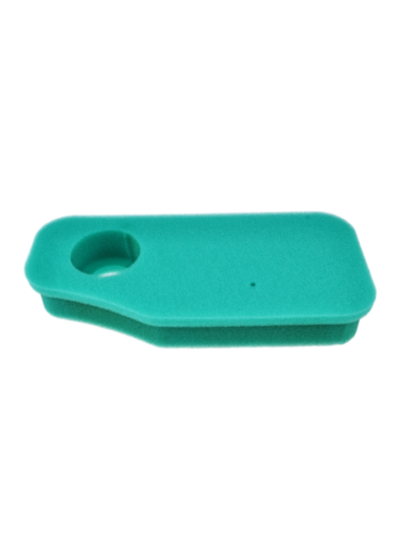 Filtre à air BRIGGS ET STRATTON 10-11 CV verticaux - 270843