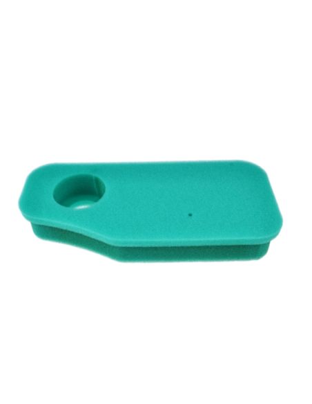 Filtre à air BRIGGS ET STRATTON 10-11 CV verticaux - 270843