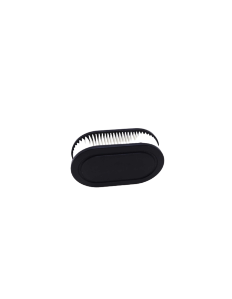 Filtre à air BRIGGS ET STRATTON - 798452