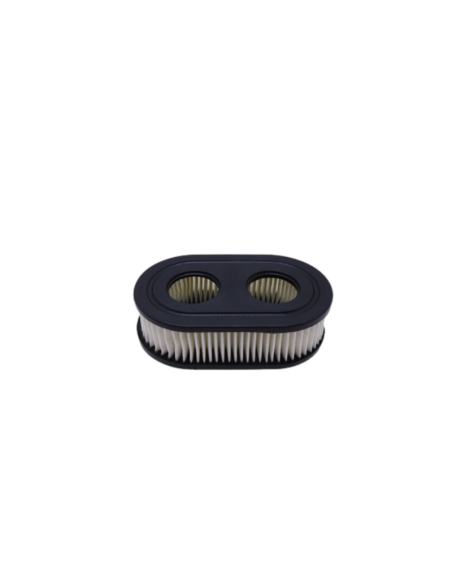 Filtre à air BRIGGS ET STRATTON - 798452