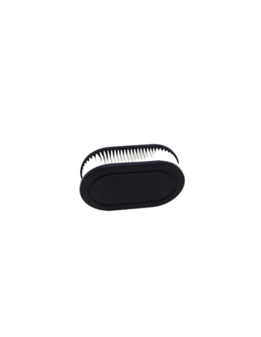 Filtre à air BRIGGS ET STRATTON 593260