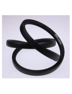 Courroie 10x787 (mm) - Z29.5 - CP047829 - 3630002-01A - SA36523